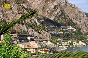 limone am gardasee 03