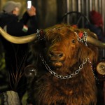 Krampuslauf der Burggrofen Tuifl 077