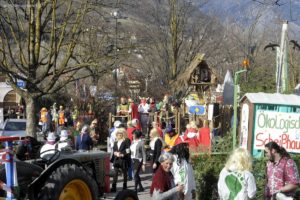 Faschingsumzug Lana 2020 061