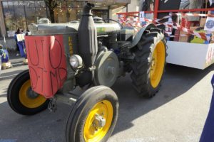 Faschingsumzug Lana 2020 076