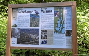 Falschauer Biotop 020