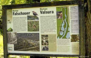 Falschauer Biotop 040