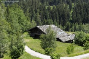 Seeweg St Walburg Ulten 010