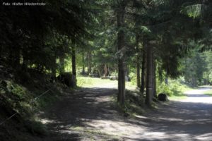 Seeweg St Walburg Ulten 033