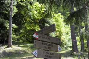 Seeweg St Walburg Ulten 038