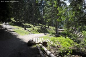 Seeweg St Walburg Ulten 050