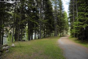 Seeweg St Walburg Ulten 066