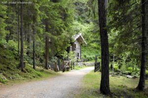 Seeweg St Walburg Ulten 067