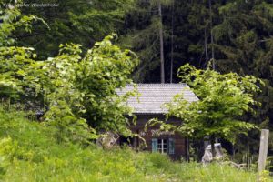 Wildnisschule Die Wurzel Platzers Tisens 011