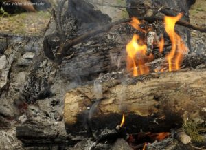 Wildnisschule Die Wurzel Platzers Tisens 085