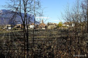 Montiggl Eppan 029
