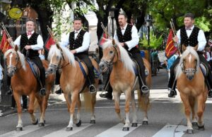 Europeade 2010 Bozen 001