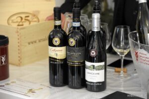 Merano Winefestival 2018 036