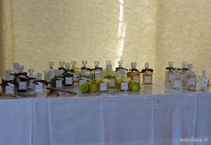 Merano Winefestival 2018 041