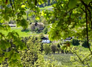 St Hippolyt in Naraun Tisens 17