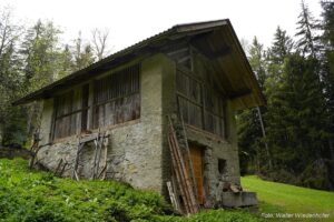 Wildnisschule Die Wurzel in Platzers Tisens 15