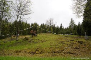 Wildnisschule Die Wurzel in Platzers Tisens 17