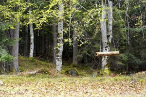 Wildnisschule Die Wurzel in Platzers Tisens 24