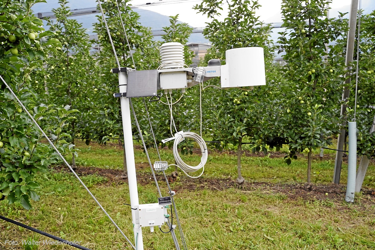 tag der technik in sinich 045