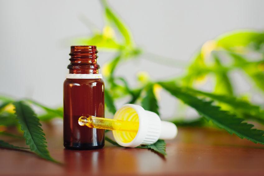 CBD-Öl: Ein sehr nützliches Öl, das Sie anwenden sollten 7 CBD 2