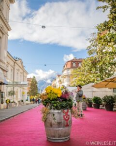 Merano Winefestival 2022 1